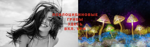 бошки Алзамай