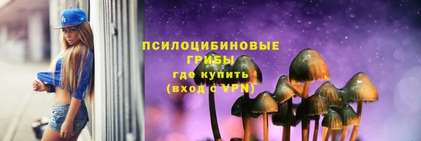 бошки Алзамай