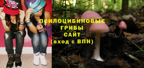 бошки Алзамай