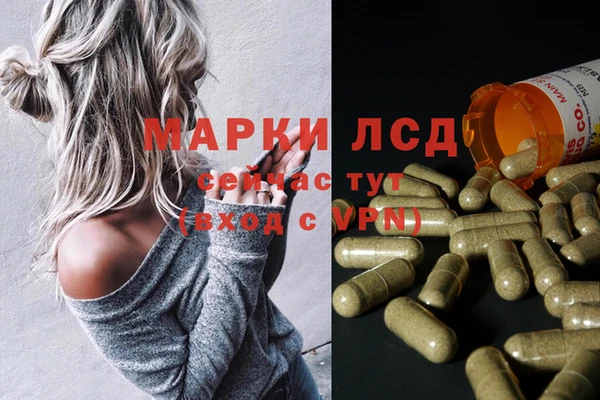 бошки Алзамай